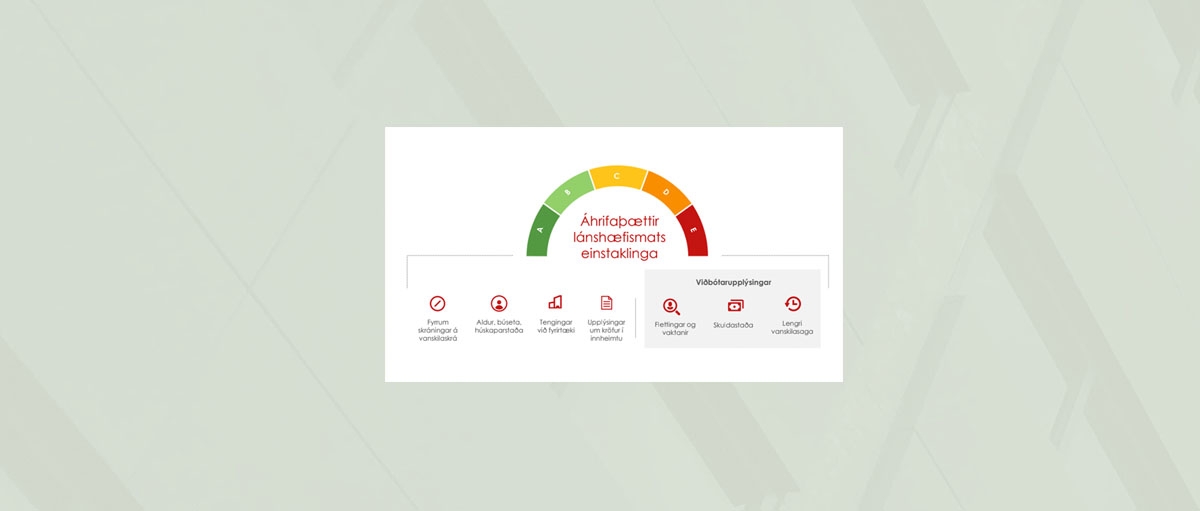 Fj&aacute;rm&aacute;la&thorn;j&oacute;nusta - L&aacute;nsh&aelig;fismat