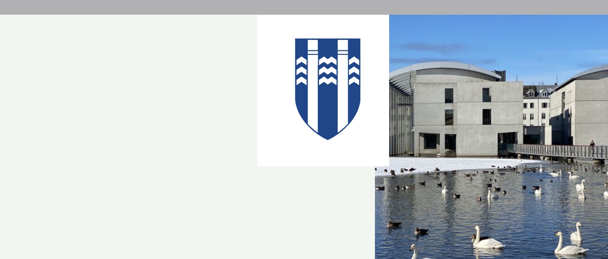 Reykjav&iacute;kurborg endurgrei&eth;ir ums&aelig;kjendum um grei&eth;slua&eth;l&ouml;gun oftekna dr&aacute;ttarvexti